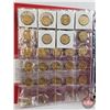 Image 12 : BINDER LOT - BULK BUY : Canada Loonie Dollars (100 Coins) (Red Binder) (Variety Intermittent : 1990'