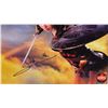 Image 2 : Autographed 8x10 Photos (2) : Gal Gadot - Wonder Woman (Certified : GCG & KB Authentics)