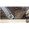 Image 9 : Autographed 8x10 Photos (4) : Lord Of The Rings - Sean Astin -Elijah Wood