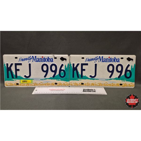 License Plates (2) : Manitoba
