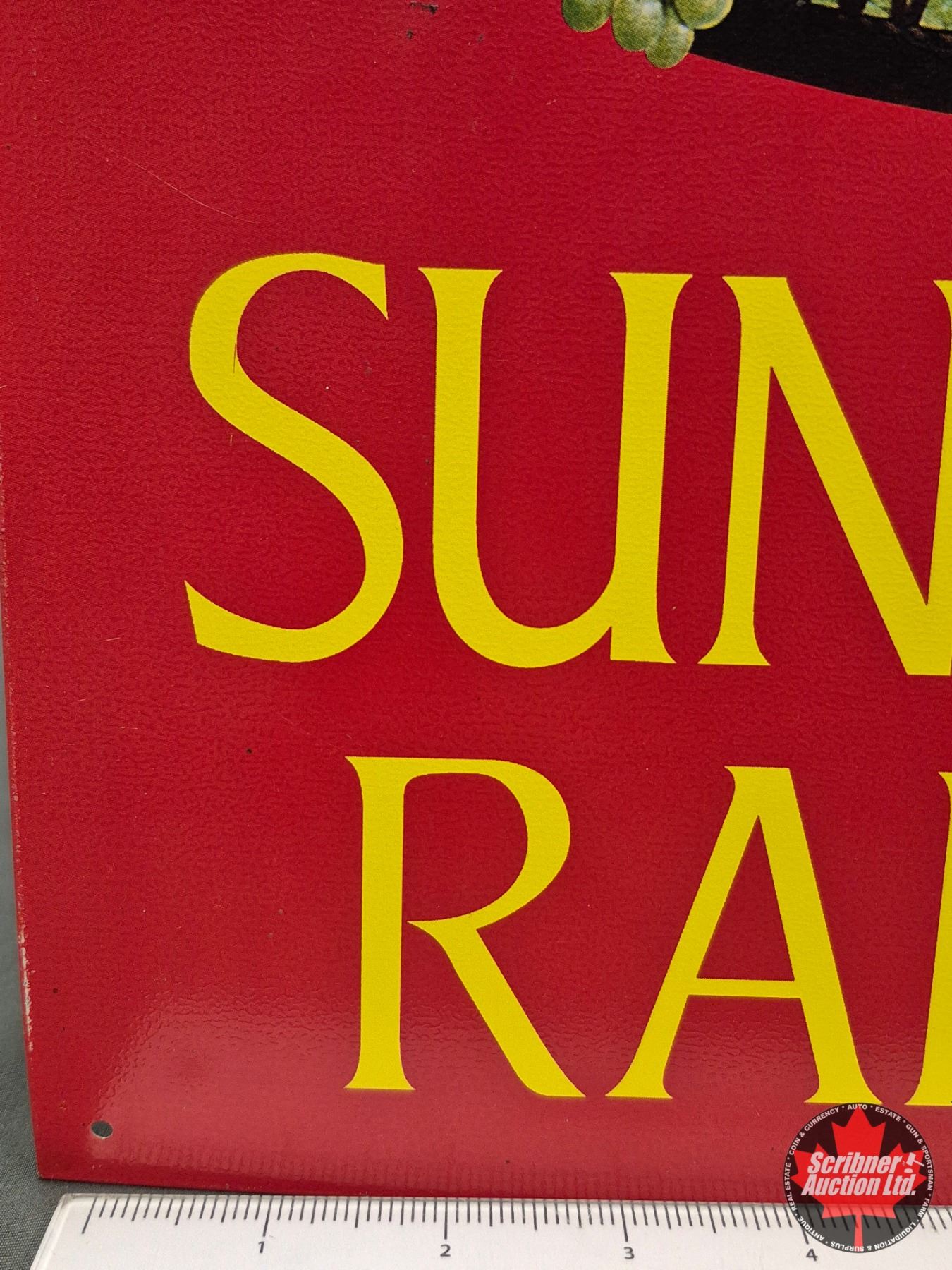 Pro Raisin Sign Single Sided Tin Sign : Sun Maid Raisins (Measures : 16