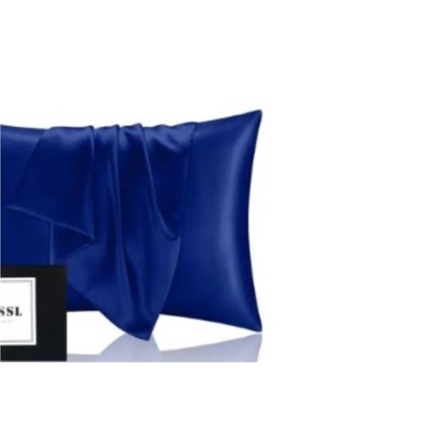 INSSL Silk Pillowcase, Egyptian Blue, King Size