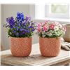 Image 1 : 2 Coral-Colored Ceramic Planters With Embossed Floral Pattern