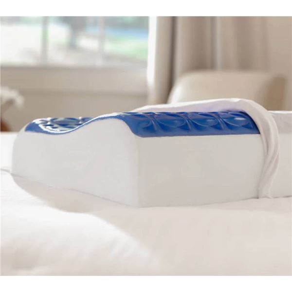 Sealy Cooling Gel Contour Memory Foam Pillow