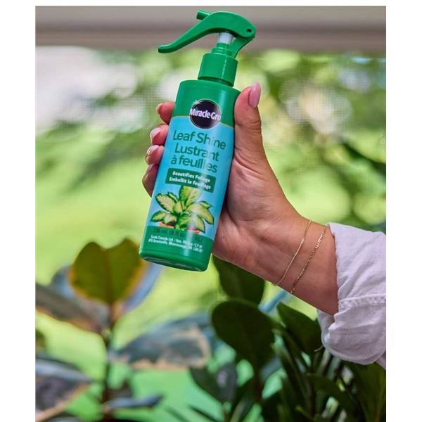 Miracle-Gro Leaf Shine, 8 fl oz Spray Bottles, Case of 9