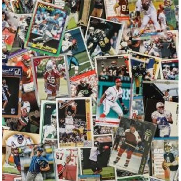 Hockey Trading Cards in Organization Trays