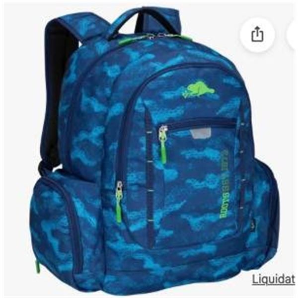 Roots Backpack with Blue Design and Multiple Compartments