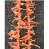 Image 3 : ANGEL HAIR CORAL NECKLACE