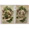 Image 3 : Winsch St. Patrick's Day Holiday Greeting Postcard Album 30 Cards