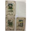 Image 4 : Winsch St. Patrick's Day Holiday Greeting Postcard Album 30 Cards