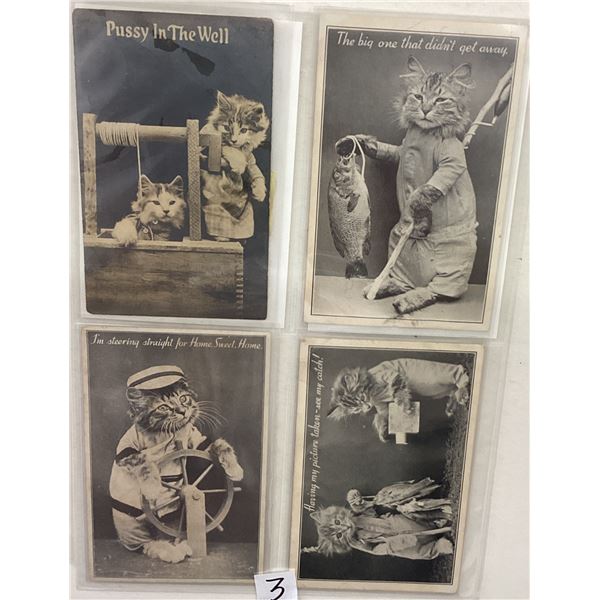 Dressed Cat Animal Postcard Album 50+