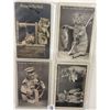 Image 1 : Dressed Cat Animal Postcard Album 50+