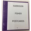 Image 7 : Harrison Fisher Pretty Lady Greeting Postcard Album 85+