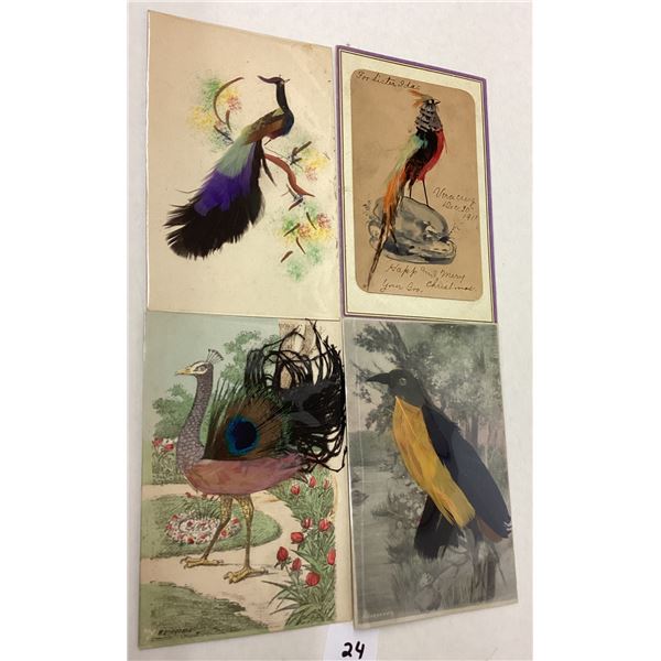 Novelty - Birds with Feathers Attached Postcards 7