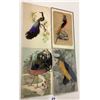 Image 1 : Novelty - Birds with Feathers Attached Postcards 7