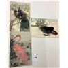 Image 2 : Novelty - Birds with Feathers Attached Postcards 7
