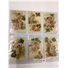 Image 8 : PFB Greetings & Holiday Album 130+ Postcards
