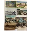 Image 1 : Sorted California Postcards 85+