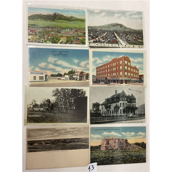Montana Partially Sorted 70+ Postcards