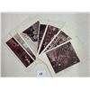 Image 2 : Washington DC 1906 Fire Postcards 8