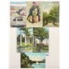 Image 3 : Hawaii Postcards 19
