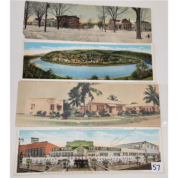 Novelty - Bifold & Large Early Postcards 11