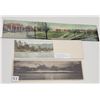 Image 3 : Novelty - Bifold & Large Early Postcards 11