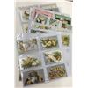 Image 7 : Easter Tuck Holiday Greeting Album 125+ Postcards