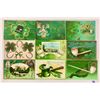 Image 3 : St. Patrick's Day Holiday Greeting Postcards 28