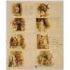 Image 1 : Misc. Tuck Publishing Postcards 55+