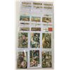 Image 7 : Thanksgiving Holiday Greeting Album 100+ Postcards