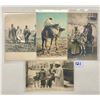 Image 2 : Egypt Postcards 19