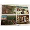 Image 2 : President Roosevelt Journey to Africa Postcards 30