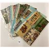 Image 9 : President Roosevelt Journey to Africa Postcards 30