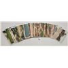 Image 5 : Transportation - Florida Train & Depot Postcards 30