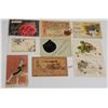 Image 2 : Novelty Postcards 55+