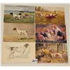 Image 1 : Animals - Hunting Dog Postcards 20