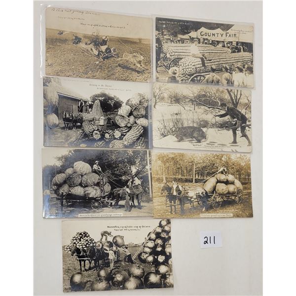 Real Photo Martin Exaggeration Postcards 7