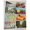 Image 2 : Approx. 215 Part Sorted Box Postcards