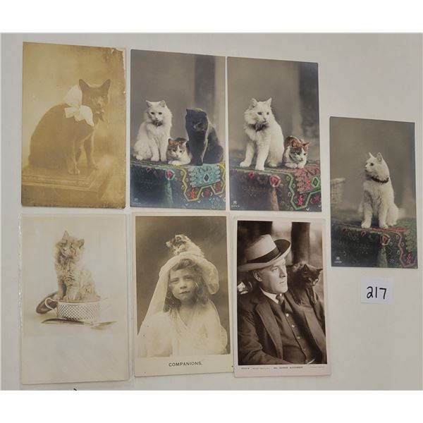 Animals - Real Photo Cat Postcards 20