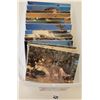 Image 3 : Dinosaur Postcards 350
