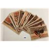 Image 3 : Set of Signed Artist Reus Bullfighting Postcards 12