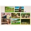 Image 2 : Great Smokey Mountain National Park Indian Postcards 18