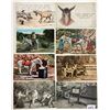 Image 2 : Animals - Donkeys on Postcards Approx. 110