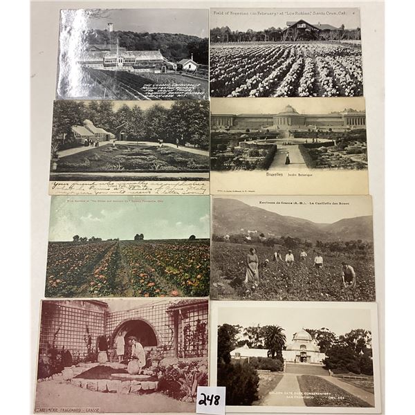 Flower Fields, Gardens & Related Postcards 195+