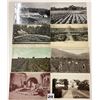Image 1 : Flower Fields, Gardens & Related Postcards 195+