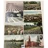 Image 2 : Flower Fields, Gardens & Related Postcards 195+