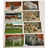 Image 1 : Ringling Bros. Circus Postcards 29