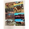 Image 1 : Animals - Horses Approx. 200