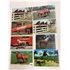Image 2 : Animals - Horses Approx. 200
